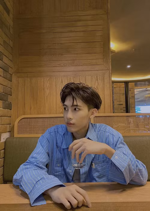 Giữa ồn ào chê phở Việt Nam, Silves liên tục phân trần. Anh nói: "Mọi người đã hiểu sai những gì tôi viết. Tôi đang nói về món ăn được mang đi từ nhà hàng đó, không phải món ăn Việt Nam. Tôi rất yêu Việt Nam. Về món phở chanh, quả thật đây là lần đầu tiên tôi ăn món phở có mùi rất đặc biệt. Có thể do nước mắm hoặc các nguyên nhân khác. Tôi đã không tìm hiểu sâu. Tôi xin lỗi khán giả Việt Nam vì sơ suất này".