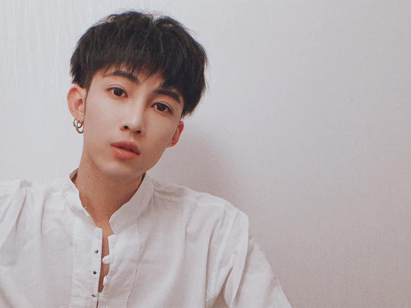 Mới nhất, Silves đăng tải lời xin lỗi bằng tiếng Việt: "Tôi rất tôn trọng văn hóa ẩm thực của các nước và rất yêu thích ẩm thực các nước, không hề có ý chê bai. Do văn hóa khác biệt gây nên nhầm lẫn khi đọc chữ, tôi nói ra là ý nói đến cửa hàng, chứ không phải ý nói đến món ăn Việt Nam. Do khẩu ngữ biểu đạt không chính xác, đã làm phiền tới mọi người nên tôi thành thật xin lỗi". Mời quý độc giả xem video "Bí quyết làm phở bò chuẩn vị Hà Nội". Nguồn VTC