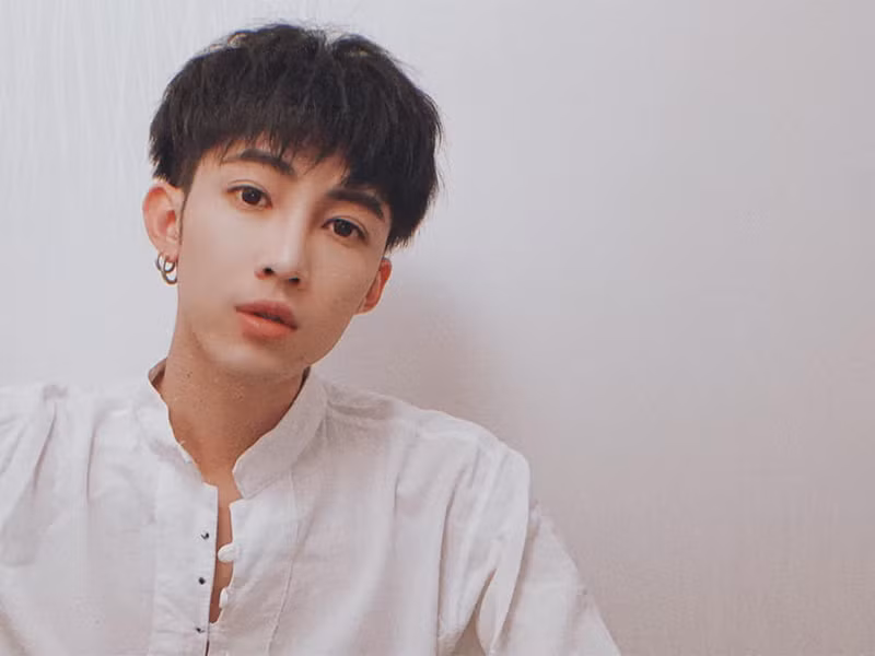 Mới nhất, Silves đăng tải lời xin lỗi bằng tiếng Việt: "Tôi rất tôn trọng văn hóa ẩm thực của các nước và rất yêu thích ẩm thực các nước, không hề có ý chê bai. Do văn hóa khác biệt gây nên nhầm lẫn khi đọc chữ, tôi nói ra là ý nói đến cửa hàng, chứ không phải ý nói đến món ăn Việt Nam. Do khẩu ngữ biểu đạt không chính xác, đã làm phiền tới mọi người nên tôi thành thật xin lỗi". Mời quý độc giả xem video "Bí quyết làm phở bò chuẩn vị Hà Nội". Nguồn VTC