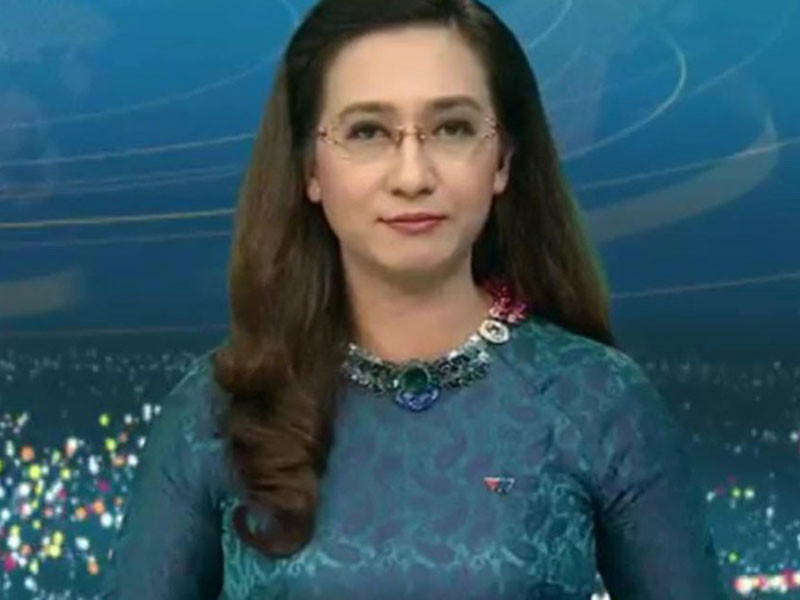 BTV Vân Anh giữ sóng bản tin Thời sự 19h của VTV từ cuối năm 1997 đến tháng 11/2016.