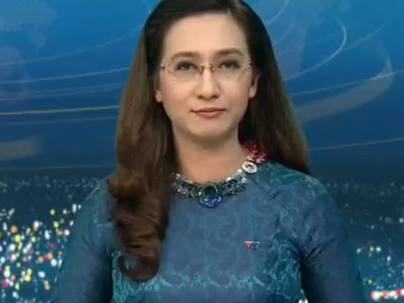 BTV Vân Anh giữ sóng bản tin Thời sự 19h của VTV từ cuối năm 1997 đến tháng 11/2016.