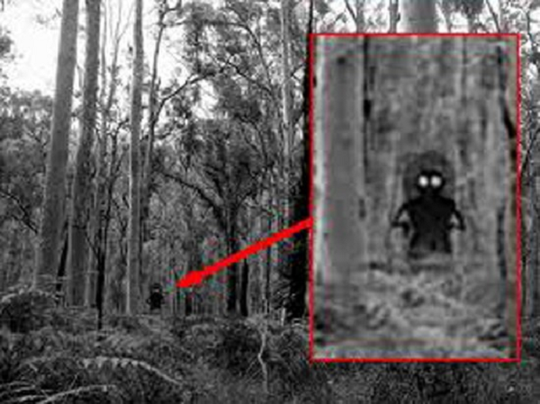 Mô tả mà cặp đôi cung cấp rất giống với con quái vật được nhìn thấy vào tối 12/9. Tuy nhiên, con quái vật này không đội chiếc mũ trùm đầu hình thuổng. Thay vào đó, đầu của con quái vật là xương và giống với loài bò sát.