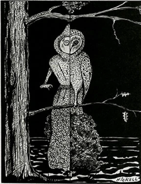 Tuy nhiên nhiều người vẫn tin rằng Flatwoods chính là một sinh vật ngoài hành tinh nhờ những mô tả chân thực và lo sợ nó sẽ gây ra những sự việc tồi tệ cho con người.