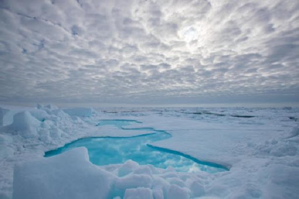 Tuy nhiên, các nhà khoa học cũng cho biết mọi thứ còn phụ thuộc vào mức độ ấm lên toàn cầu và với tốc độ ấm lên như hiện nay, mưa có thể lấn át tuyết ở Bắc Cực vào cuối thế kỷ này.