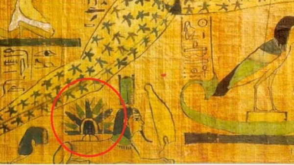 Trong bản dịch của Prince Boris de Rachewiltz có đoạn như sau: "Vào năm 22, tháng thứ ba của mùa đông, giờ thứ sáu trong ngày, một trong số các nhà ghi chép biên niên sử Ngôi nhà của Sự sống phát hiện một đĩa lửa kỳ lạ đang tiến đến từ trên bầu trời...