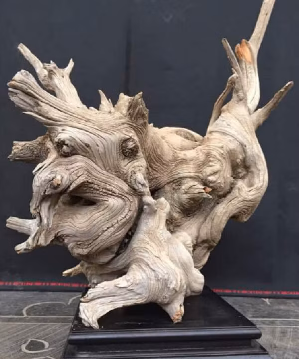 Thấy người này yêu quý cái "tổ chim" như vậy, mình giữ lại cũng chả để làm gì, bác Ngô liền tặng nó cho anh ta. Nào ngờ, vừa quay về thành phố, anh ta liền đem khúc gỗ bán đi còn thu về hơn 350 triệu đồng.