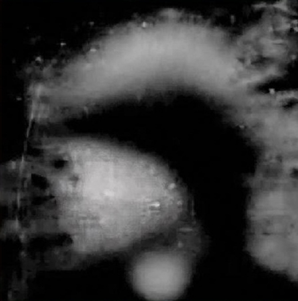 Bản thân Basiago cũng không hề biết mình đã có một cuộc xuyên không. Nhưng khi quay về thực tại, ông giật mình phát hiện ra cậu bé Basiago 10 tuổi cũng xuất hiện trong bức ảnh chụp từ năm 1863.