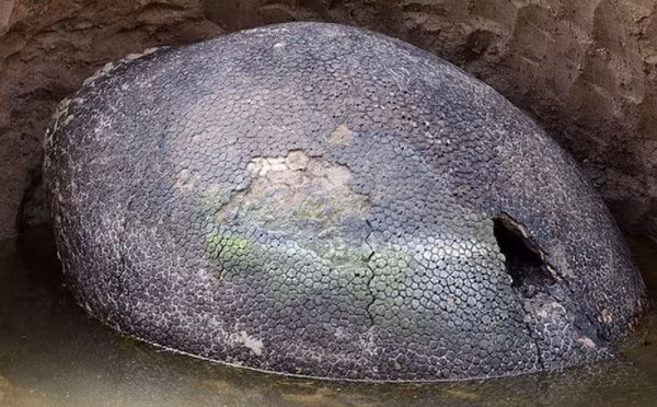 Người đàn ông cũng cảm thấy bị thu hút bởi vật thể lạ đó nên đã tiến lại gần hơn để quan sát. Khi đến gần, anh thấy hòn đá này tròn như 1 quả trứng. Lớp vỏ của quả trứng này phủ đầy vảy màu đen. Nó có đường kính khoảng 1m, trên đầu có 1 lỗ nhỏ.