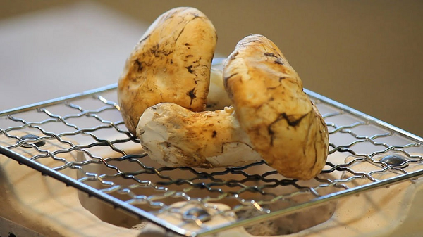 Matsutake là một loại nấm ngon, có mùi và vị độc đáo, có thể ăn sống. Nó có kết cấu đàn hồi, hương vị béo ngậy, thơm phức và mùi như thông. Nó kết hợp giữa mùi của gia vị (quế), trái cây (lê, táo) và vị hơi đắng của nhựa thông, vì thế nó được những người sành ăn vô cùng đánh giá cao.