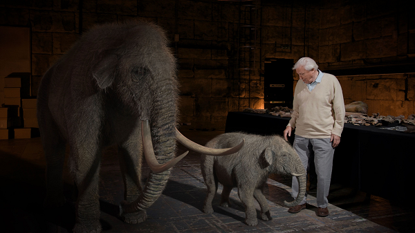 Địa điểm tìm thấy khám phá bất ngờ này là một mỏ đá thuộc vùng Cotswolds của Anh. Theo Ben Garrod từ Đại học Đông Anglia, tác giả nghiên cứu, các quái thú khổng lồ này là voi ma mút thảo nguyên.