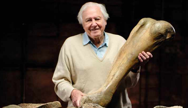  Voi ma mút thảo nguyên là một giống loài đã tuyệt chủng từ 200.000 năm trước sau hơn 1,6 triệu năm th Voi ma mút thảo nguyênống trị các thảo nguyên tiền sử.