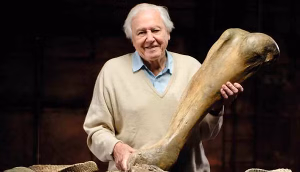  Voi ma mút thảo nguyên là một giống loài đã tuyệt chủng từ 200.000 năm trước sau hơn 1,6 triệu năm th Voi ma mút thảo nguyênống trị các thảo nguyên tiền sử.