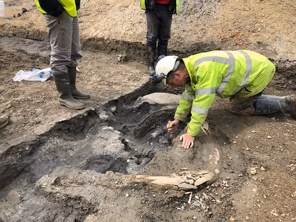 Theo các nhà khoa học, địa điểm này gồm 5 người Neanderthals sinh hoạt trong đó có 2 cá thể trưởng thành, 2 cá thể trong giai đoạn niên thiếu và 1 đứa trẻ sơ sinh.