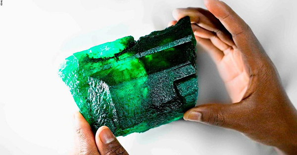 Ngọc lục bảo Emerald là một trong những loại đá quý được yêu thích nhất hàng ngàn năm qua. Ngọc lục bảo có giá trị cao và hiếm hơn gấp 20 lần so với kim cương.