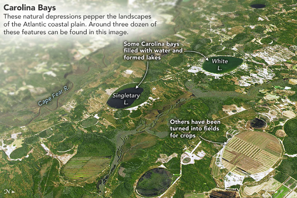 Để tìm ra nguyên nhân dẫn đến sự hình thành vùng địa chất kỳ lạ này, năm 1950, người ta bắt đầu đặt giả thuyết rằng có thể một trận mưa sao băng dữ dội đã hình thành nên các Vịnh Carolina.