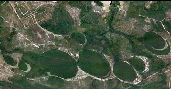 "Chúng có hình elip và thường bị cô lập với các vùng nước khác, chẳng hạn như suối nhỏ hoặc sông". Bên cạnh đó, các Vịnh Carolina bố trí ở những điểm có cấu trúc địa lý thấp, nên chúng thường bị lấp đầy do mưa, nhưng đồng thời có thể bị hạn trong những thời điểm nóng và khô trong năm.