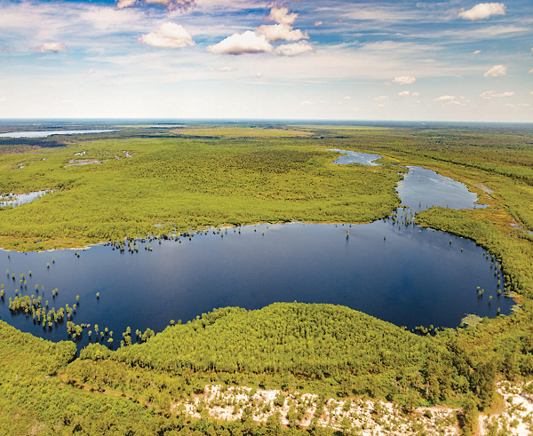Sau đó, các nhà khoa học đã tiến hành xác định niên đại bằng phóng xạ carbon của các trầm tích hữu cơ bị chôn vùi. Tuy nhiên kết quả thu được cho thấy không phải tất cả các Vịnh Carolina đều được hình thành cùng một lúc. Một số được hình thành cách nhau hàng chục nghìn năm.