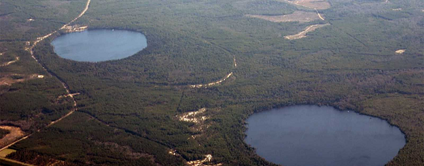 Đó là hàng trăm ngàn mẫu địa chất kỳ lạ, phân bổ hoàn toàn ngẫu nhiên và không có tỷ lệ kích thước cố định nào. Theo Kyle Barrett, Phó giáo sư bảo tồn động vật hoang dã tại Đại học Clemson: "Vịnh Carolina là tên được đặt cho bất kỳ vùng đất ngập nước nào dọc theo đồng bằng ven biển phía Đông".