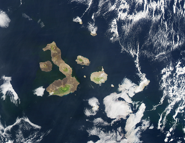 Điều này đã tạo ra một vùng hút chìm, hình thành Vòng cung núi lửa Trung Mỹ. Tuy nhiên theo nhà địa hóa và hóa học biển David Bekaert từ Viện hải dương học Wood Hole (Massachusetts, Mỹ), núi lửa dừng lại ở phía Tây Panama.