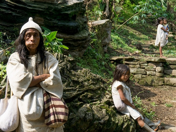 Khách lạ đến thăm là đàn ông thì không được ghé vào lều của phụ nữ và ngược lại. Họ coi nhà của mình là địa phận thiêng liêng. Nhờ lối sống hòa hợp với thiên nhiên, thói quen ăn uống đơn giản mà người Kogi có tuổi thọ hết sức cao, trung bình lên tới 100 tuổi.