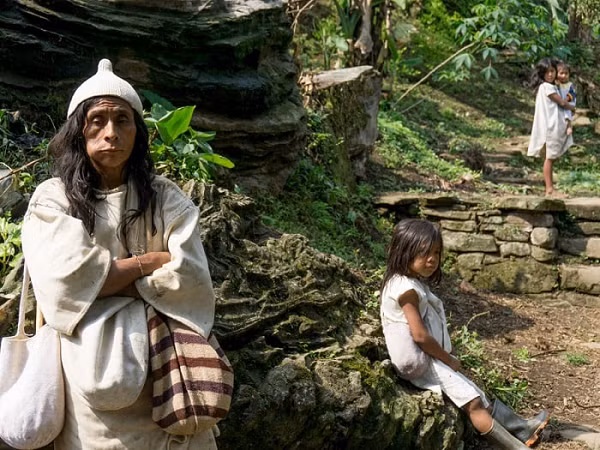 Khách lạ đến thăm là đàn ông thì không được ghé vào lều của phụ nữ và ngược lại. Họ coi nhà của mình là địa phận thiêng liêng. Nhờ lối sống hòa hợp với thiên nhiên, thói quen ăn uống đơn giản mà người Kogi có tuổi thọ hết sức cao, trung bình lên tới 100 tuổi.