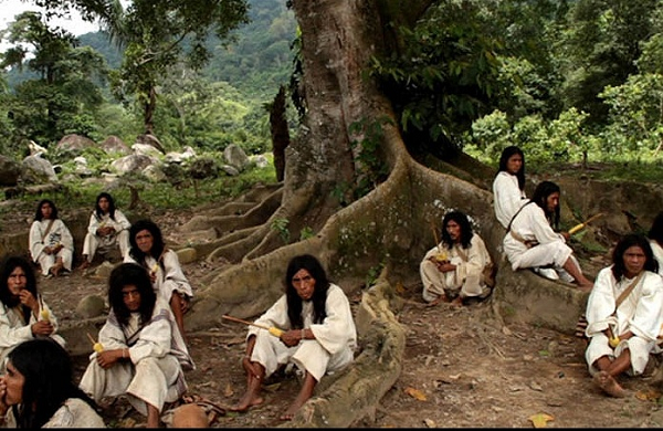 Bộ tộc Kogi có nguồn gốc từ nền văn minh Tairona cổ xưa có niên đại lên tới 8.000 năm, tồn tại trước cả thời đại văn minh cổ nổi tiếng của người Incas và Maya ở Nam Mỹ.