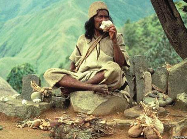  Bộ tộc Kogi sống trên dãy núi Sierra Nevada ở Colombia với diện tích 5.700 dặm trên bờ biển Caribbean. Đây là vùng núi hoang vu, quanh năm mây mờ bao phủ, ít người dám bén mảng tới vì họ sợ thần linh quở phạt.