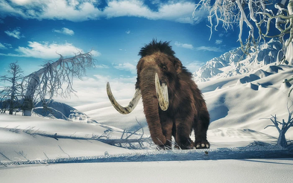 ADN hơn một triệu năm tuổi này là ADN cổ nhất từng được giải trình tự thành công. Khám phá này đã “phá vỡ" giả thuyết cho rằng chỉ có một loài voi ma mút ở Siberia vào thời điểm đó.