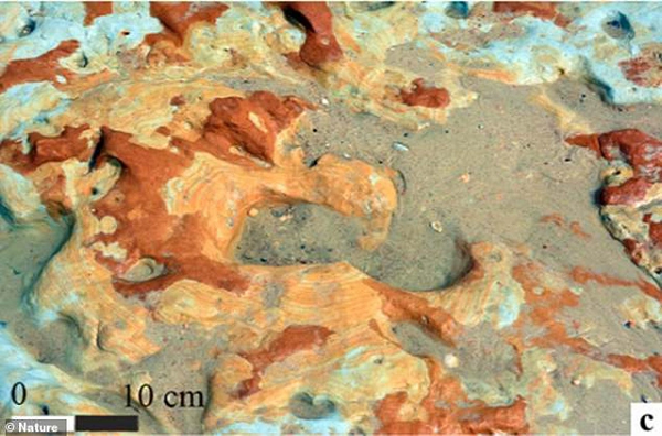 Điều khiến phát hiện này trở nên độc nhất là bởi đó là dấu chân của một nhóm người - độ tuổi hỗn hợp, bao gồm cả trẻ em, một số có tuổi đời còn khá trẻ.