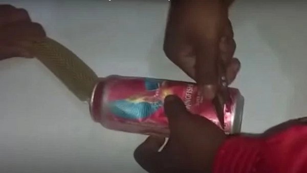 Khi đội cứu hộ đến, họ xác nhận rằng đây là loài rắn hổ mang chúa - Một trong "Tứ Đại nọc độc" của Ấn Độ, nọc độc chết người của nó nhanh chóng gây suy hô hấp và ngừng tim.