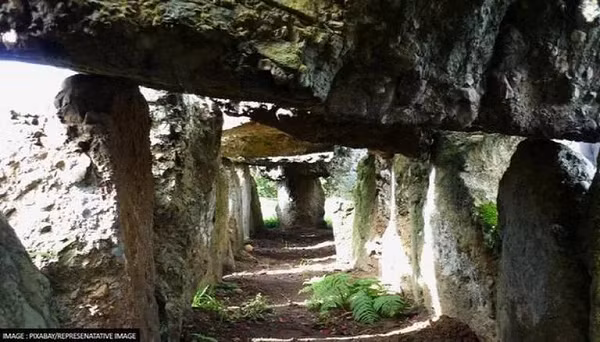 Trong khu mộ nữ giới có 2 hài cốt là trẻ chưa trưởng thành, ngoài ra còn có các cá thể không cùng huyết thống. Các nhà nghiên cứu giải thích, nữ giới Anh quốc thời kỳ đó được chôn cất cùng chồng của họ sau khi qua đời, nếu đã lập gia đình.