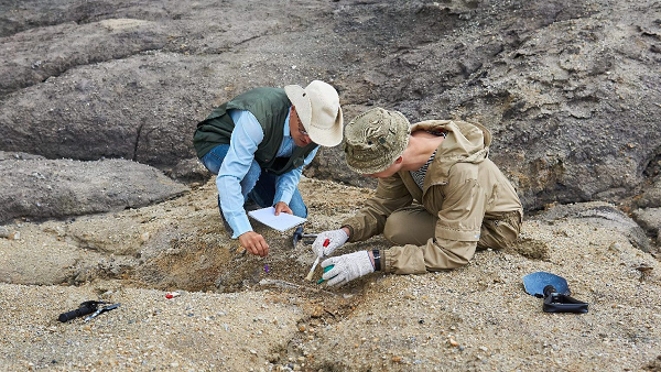 Tuy nhiên những người này không có con hoặc chỉ có con gái, và đứa con gái đã đi lấy chồng, sau đó an nghỉ trong mộ gia đình chồng.