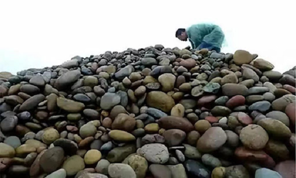 Được biết nghề nhặt đá có thể mang lại thu nhập từ 180 – 250 triệu đồng mỗi năm. Tuy nhiên, không phải hòn đá nào cũng có thể bán với giá trên trời. Những hòn đá lạ cần được trang trí và đặt tên để đẩy giá trị lên cao nhất.