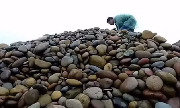 Được biết nghề nhặt đá có thể mang lại thu nhập từ 180 – 250 triệu đồng mỗi năm. Tuy nhiên, không phải hòn đá nào cũng có thể bán với giá trên trời. Những hòn đá lạ cần được trang trí và đặt tên để đẩy giá trị lên cao nhất.