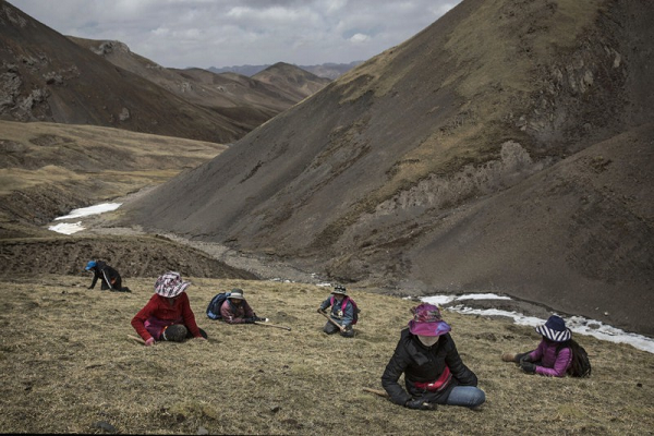 "Đây là tộc người có tốc độ biến đổi gen nhanh nhất được ghi nhận trong lịch sử tiến hóa của loài người”, tiến sĩ Rasmus Nielsen, giáo sư sinh vật học thuộc trường đại học California (Mỹ) cho biết.