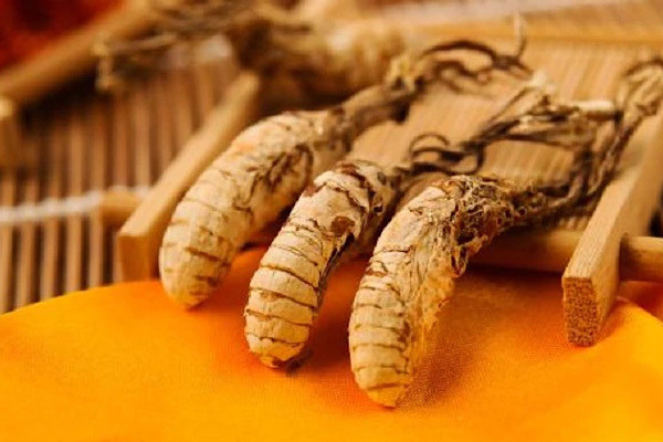 Đến mùa hè, chúng sẽ mọc trên xác của ấu trùng ve. Đông trùng hạ thảo ve sầu do nấm Cordyceps kí sinh là loại thảo dược đặc biệt với giá trị dinh dưỡng cao.