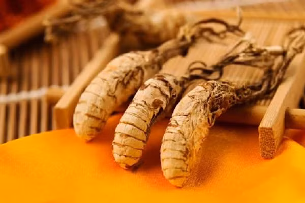 Đến mùa hè, chúng sẽ mọc trên xác của ấu trùng ve. Đông trùng hạ thảo ve sầu do nấm Cordyceps kí sinh là loại thảo dược đặc biệt với giá trị dinh dưỡng cao.