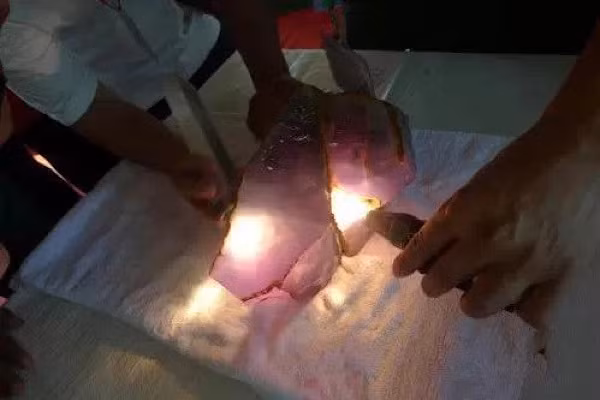 Tuy nhiên, may mắn đã mỉm cười với người đàn ông khi viên đá ông mua cắt ra rất đẹp mất, bên trong vô cùng khác lạ chưa từng được thấy trước đây.