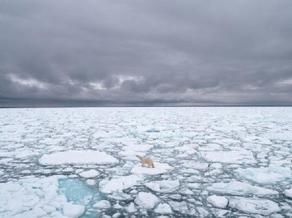 Chính sự nóng lên toàn cầu mà con người là một trong những nguyên nhân chính thúc đẩy đã khiến Yedoma dần lộ ra và khiến sự kiện ngày càng tồi tệ hơn.