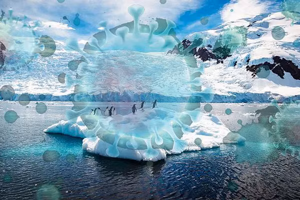 Trước đây, giáo sư Jean-Michel Claverie từ Đại học Aix-Marseille (Pháp) cho biết họ đã hồi sinh và phân tích thành công "virus Siberia cổ đại", một "quái vật" nhỏ đáng sợ từng được nhóm của ông đem về từ vùng băng giá vài năm về trước.