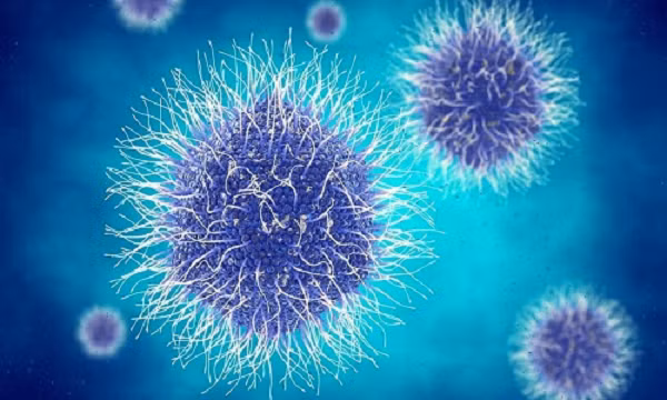 Những virus này không chỉ dễ dàng sống lại trong môi trường phù hợp ở phòng thí nghiệm, sau 30.000 năm bị niêm phong trong băng, mà còn được chứng minh là từng gây thảm họa trong thế giới những loài người khác.