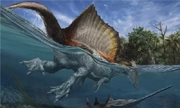 Cách đây 100 năm, các nhà khoa học mới chỉ nghi ngờ rằng nơi đó chứa một lượng hóa thạch lớn. Đến nay, lớp trầm tích trên cùng đã được xác định là cả một kho tàng trầm tích kỷ Phấn Trắng.