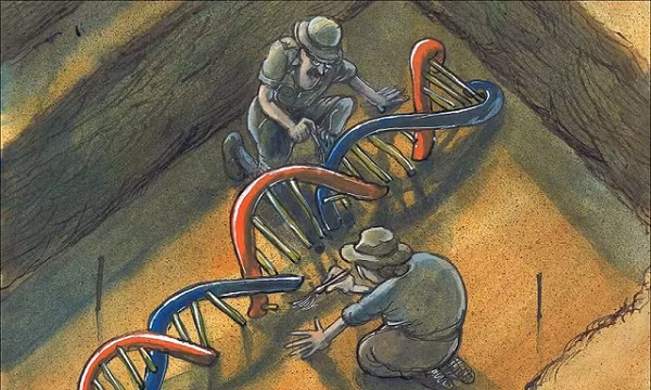 Bằng chứng là có những người đàn ông có mẹ cùng nằm trong mộ, nhưng người chồng của mẹ họ lại không phải cha ruột của họ.