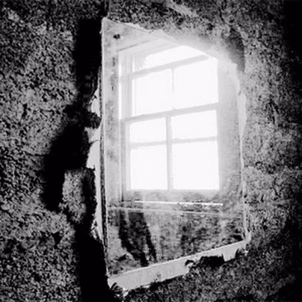 Kết quả cho thấy, khung gỗ của Louis Alvarez 1743 được làm từ gỗ coura – một loại cây quý hiếm nhưng đã tuyệt chủng rất lâu trước đó. Theo những gì Waine tìm hiểu được, gỗ coura chứa một chất cực kỳ độc hại, khi tiếp xúc với ánh sáng mạnh sẽ tạo thành nhiều khí độc. Loại khí này sẽ làm mạch máu não bị tắc dần dần, dẫn dến xuất huyết não và chết sau đó không lâu.