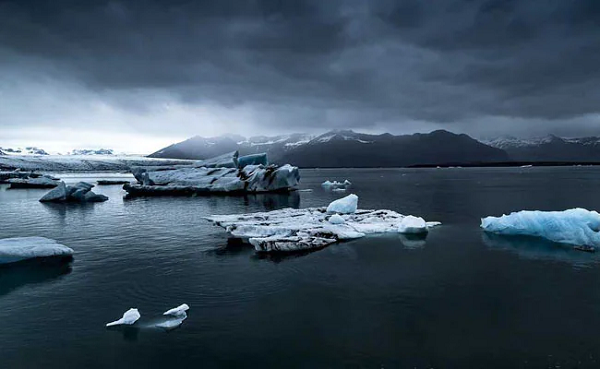 77 sinh vật kỳ dị hệt như đến từ ngoài hành tinh này gồm nhiều loài giun xoắn, giun biển có xúc tu, giun rắn... và nhiều sinh vật khó mô tả bằng lời.