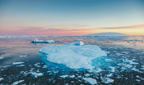 Trong đó có những con lưỡng tính, có sinh vật sở hữu tuổi thọ lên tới 45 năm. Tính đa dạng sinh học bên trong "mộ băng" hàng ngàn tuổi này hoàn toàn gây sốc.