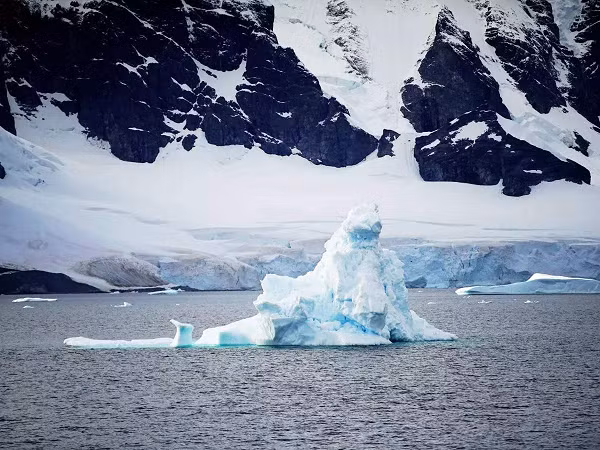 Theo tiến sĩ David Barnes từ Cơ quan Khảo sát Nam Cực của Anh (BAS) - tác giả chính của nghiên cứu, những sinh vật này có thể tồn tại nhờ vào một lối thông ngầm bí mật từ vùng nước gần như khép kín này với đại dương cách đó từ 3-9 km.