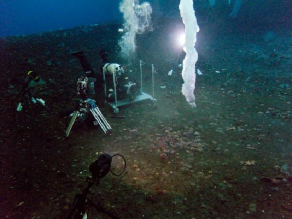 Tuy nhiên, nạn nhân của brinice thường chỉ là những loài sinh vật bé nhỏ và chậm chạp dưới đáy biển như nhím và sao biển. Trong video, những con nhím và sao biển chậm chạp bị đông cứng ngay khi tiếp xúc với hơi lạnh toát ra từ brinicle.