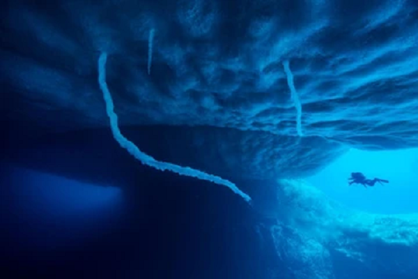 Khi brinicle chạm tới đáy biển, nó lập tức tiêu diệt tất cả sinh vật trên đường đi. Khu vực chịu ảnh hưởng có thể rộng tới hàng kilomet vuông.