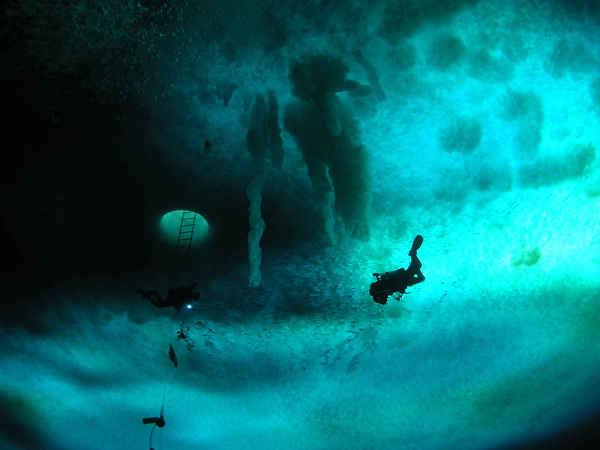 Những loài động vật có thân hình to lớn như hải cẩu thì lại không bị ảnh hưởng bởi brinicle, thậm chí chúng còn có khả năng phá hủy những cột băng này.